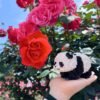 Building Blocks Flower Panda Mini Building Blocks, 983 PCS Micro Animal Building Toy Bricks for Girls Boys and Adults