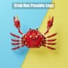 Building Blocks Ocean Animal Building Blocks, Deep Sea Creatures Building Toy Set for Kids Boy Girl Crab(242PCS)